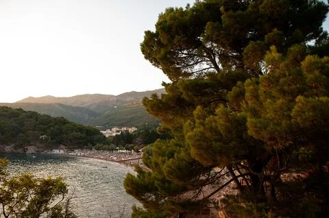 Sunset Over Coastal Beach with Pine Trees Stock Photos