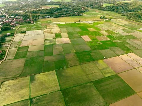 Sunset Over Coastal Rice Fields Stock Photos