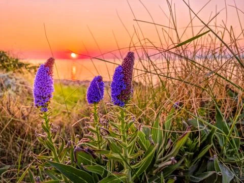 A sunset over the coastline Stockfoto's