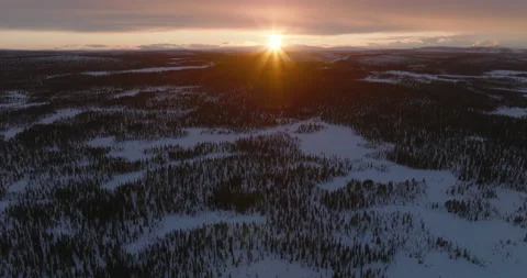Sunset over the coniferous forests in Swedish Lapland Stock Footage 220026463