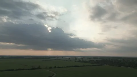 Sunset over corn field Video stock 300270769