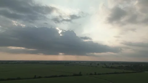 Sunset over corn field Video stock 300270770