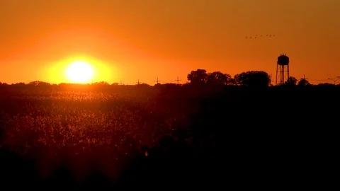 Sunset over cotton fields in small Mississippi southern town with migrating Stock Footage 118144113