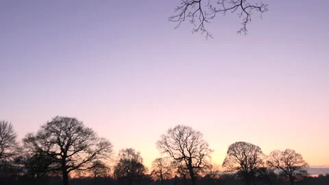 Sunset over countryside in England with trees UK 4K Stock Footage 147990939
