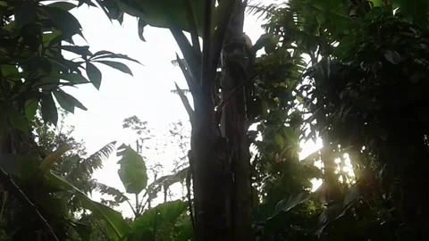 Sunset over the countryside Stock Footage 226900224