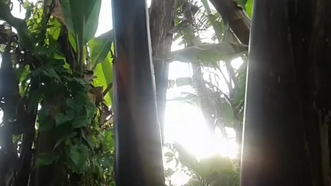 Sunset over the countryside Stock Footage 226900225