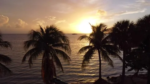 Sunset over Crandon Beach, Miami Video stock 228782828
