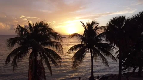 Sunset over Crandon Beach, Miami Video stock 228782831
