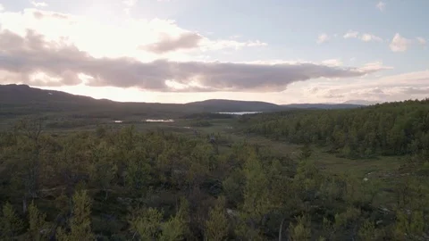 Sunset over creek Stock Footage 77071731