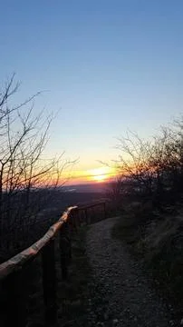 Sunset over a dark dirt path with bare trees and colorful sky Stock Photos