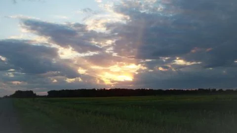 Sunset over the dark forest Stock Photos