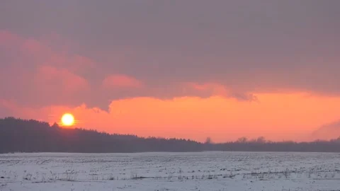 Sunset over dark forest. Winter forest texture 動画素材 110826331