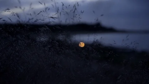 Sunset over dark ocean water bokeh 50 fps Video stock 85539312
