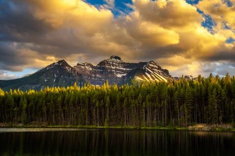 Sunset over deep forest along the Herbert Lake in Banff National Park, Canada Stock Photos