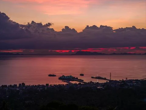 Sunset Over Dense Palms and Sea Horizon 写真素材