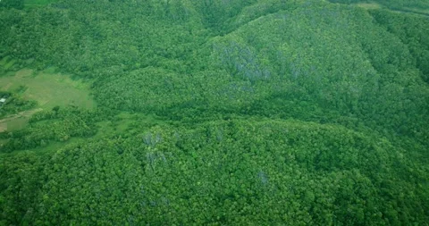 Sunset Over Dense Tropical Mountain Rainforest - Aerial Footage Stock Footage 310002654