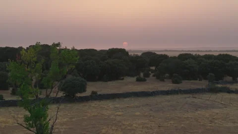 Sunset over drought-stricken dehesa landscape in Salamanca, Spain Stock Footage 341887648