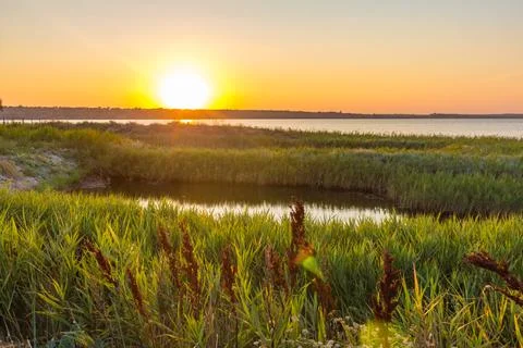 Sunset over dry grass field, south of Ukraine.... sunset over dry grass field Stock Photos