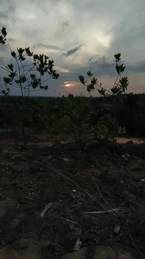 Sunset Over Dry Hills with Sparse Vegetation Vertical Nature Background Stock Footage 336405169