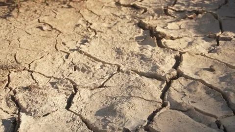 Sunset over dry steppe grass Stock Footage 318452341