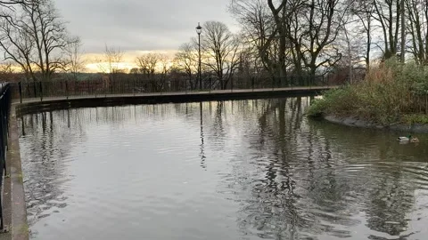 Sunset over duck pond 動画素材 166975895