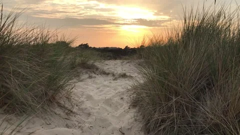 Sunset over the dunes and sand in England Stock Footage 145838864