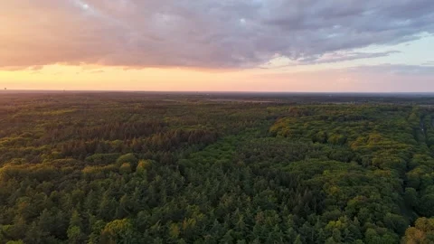 Sunset over dutch forests in Province Gelderland Timelapse Stock Footage 335101120