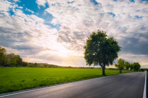 Sunset over empty road and green nature Stock Photos