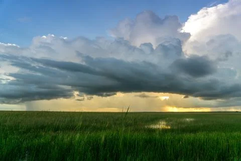 Sunset Over the Everglades Stock Photos