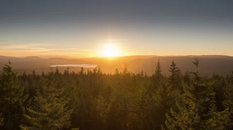 Sunset over Evergreen Trees Stock-Footage 43577995