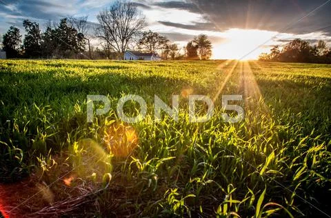 Sunset over farm field Stock Photos