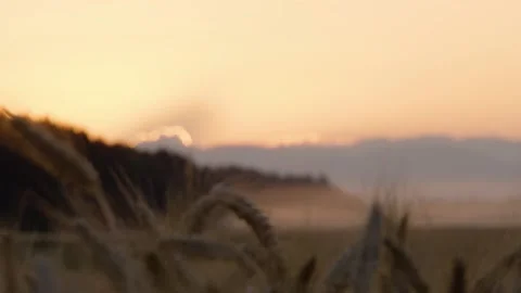 Sunset over farming fields and Alps mountains Stock Footage 157912771