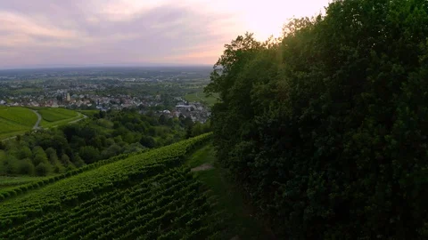 Sunset over Field and Valley on Mountain Top / Drone Shot / Baden Baden  Vídeos de archivo 129335980