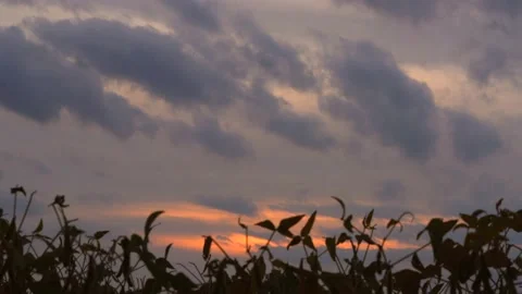 Sunset over field clouds time lapse Stock Footage 140298691