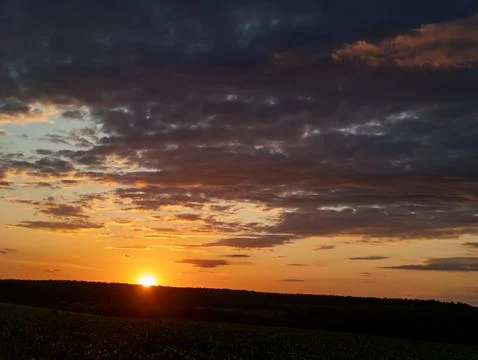 A sunset over a field of corn in the middle of a field Stock Photos