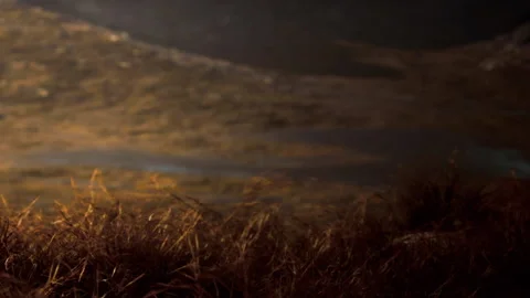 Sunset over a field with dry grass and distant hills during golden hour Stock Footage 340023682