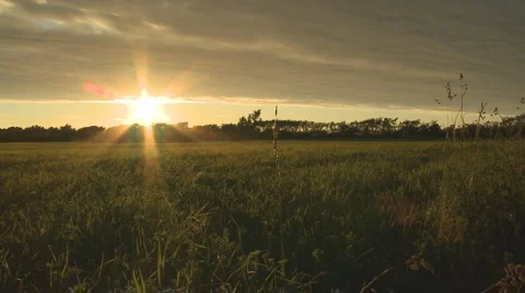 Sunset over field Vídeo Stock 3576173