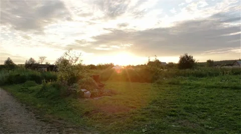 Sunset over field Stock Footage 42029262