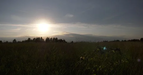 Sunset over the field Stock Footage 97758175