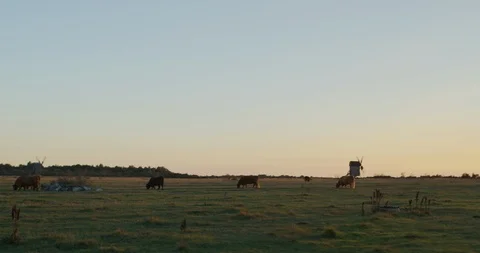 Sunset over field Stock Footage 108567687