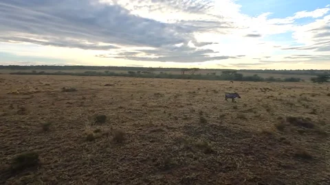 Sunset over field Stock Footage 221324465