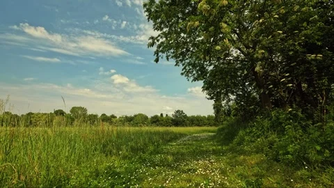 Sunset over the field Stock Footage 244167801