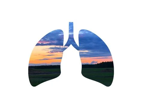 Sunset Over Field Or Meadow. Shot through the cut out silhouette of the lungs Stock Photos