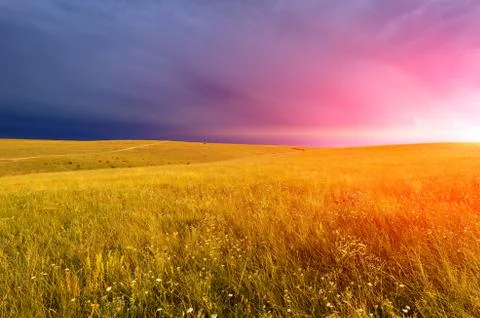 Sunset over a field Stock Photos