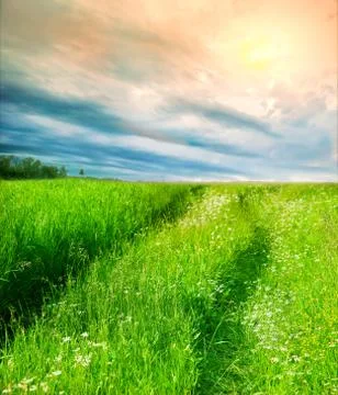 Sunset over  field Stock Photos