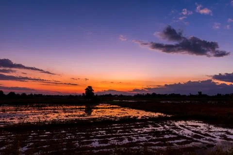Sunset over the field 스톡 사진