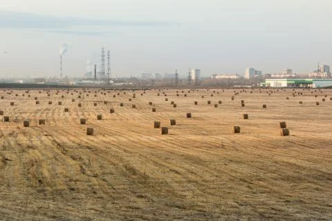 Sunset over the field 스톡 사진