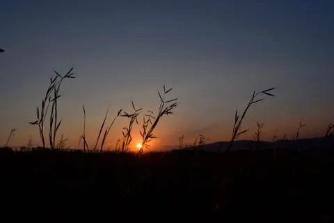 Sunset over field Stock Photos