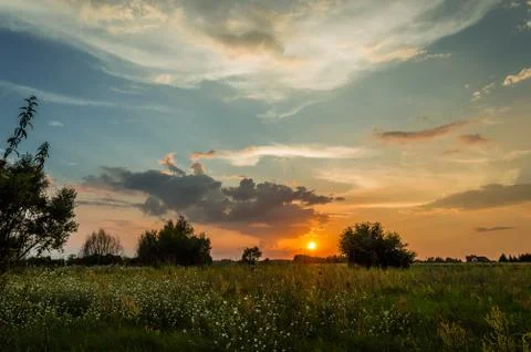 Sunset over the field Stock Photos