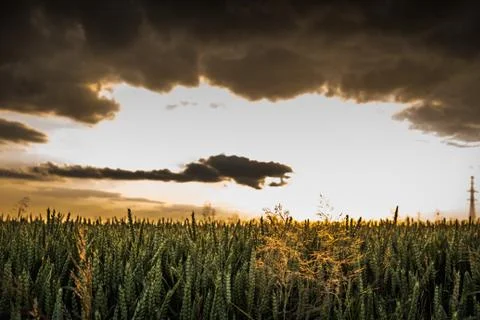 Sunset over field Stock Photos